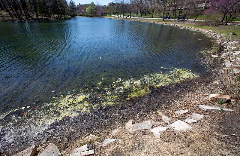 Article: Planning begins to improve Lake LaVerne