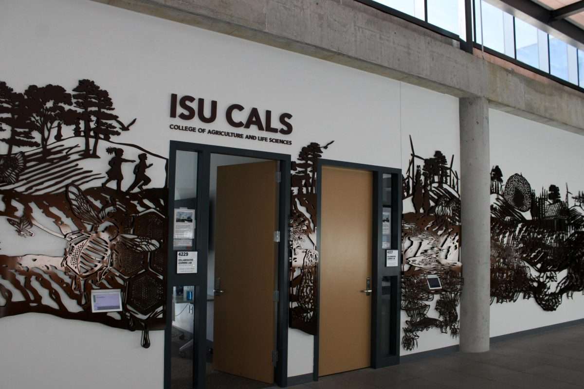 Article: New College of Agriculture and Life Sciences interdisciplinary artwork in Student Innovation Center